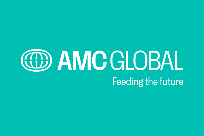 11_AMC